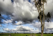 情绪高涨！世界篮球赛事焦点频现