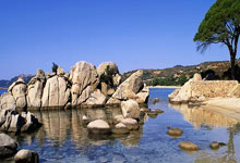 曼联客场赢球，意志力带队成功