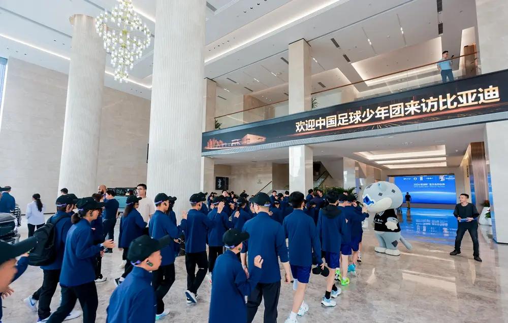 包含比亚迪助力中国民间青训组织“中国足球小将”的词条